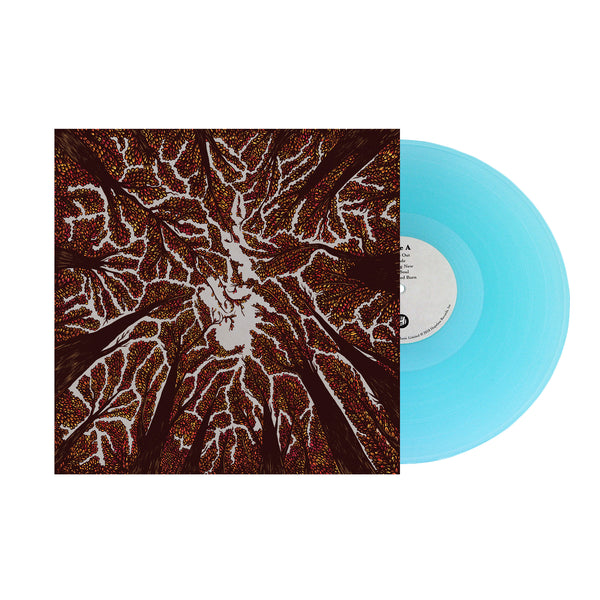 3a66b8c1d978498183797d858cc5f1