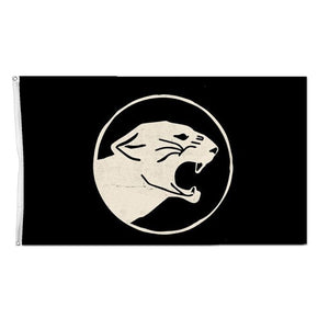 Taking Back Sunday Panther 3X5 Wall Flag